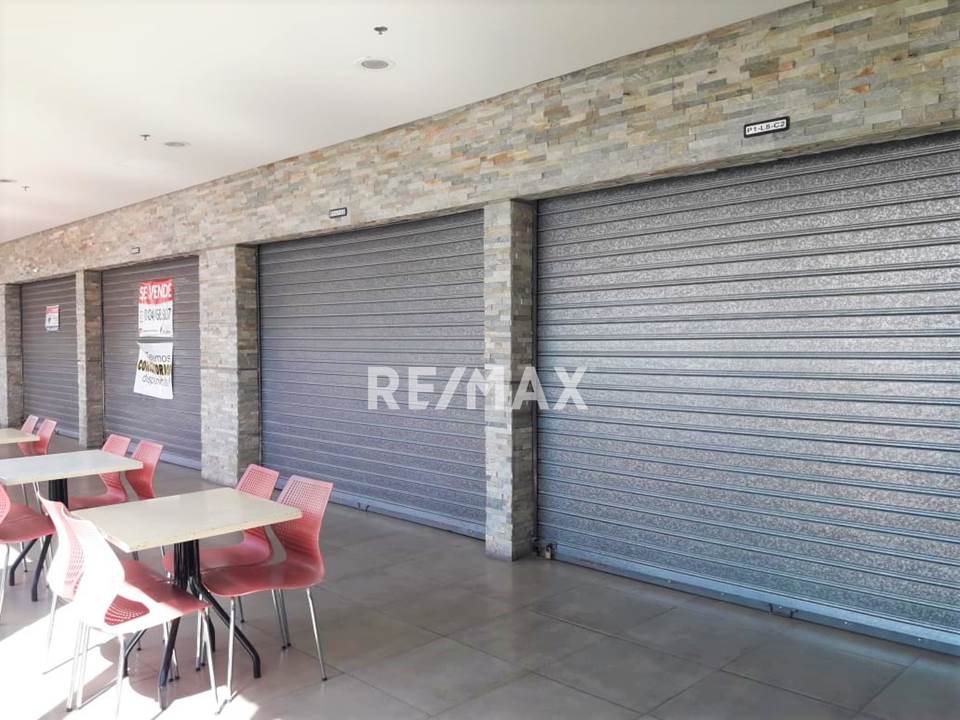 local comercial concepto la viña
