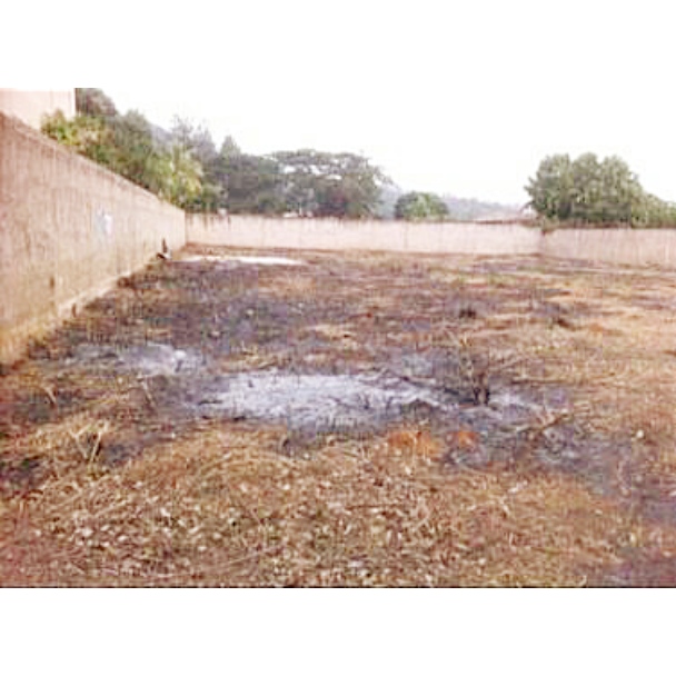 269376  En Venta Parcela mini fincas El Solar 2.275 mt2, Guataparo, Valencia, Carabobo. Remate